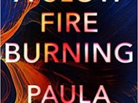 Trying Paula Hawkins Again – A Slow Fire Burning